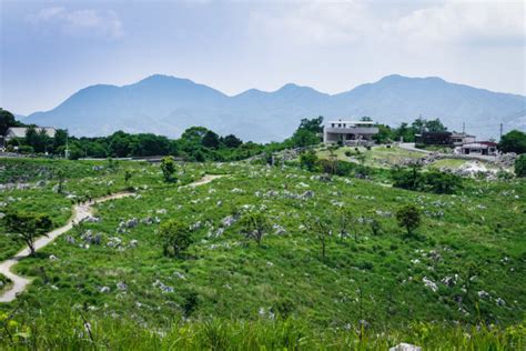 風水 環境学|風水の科学的根拠とは？効果的な取り入れ方と生活への活用法